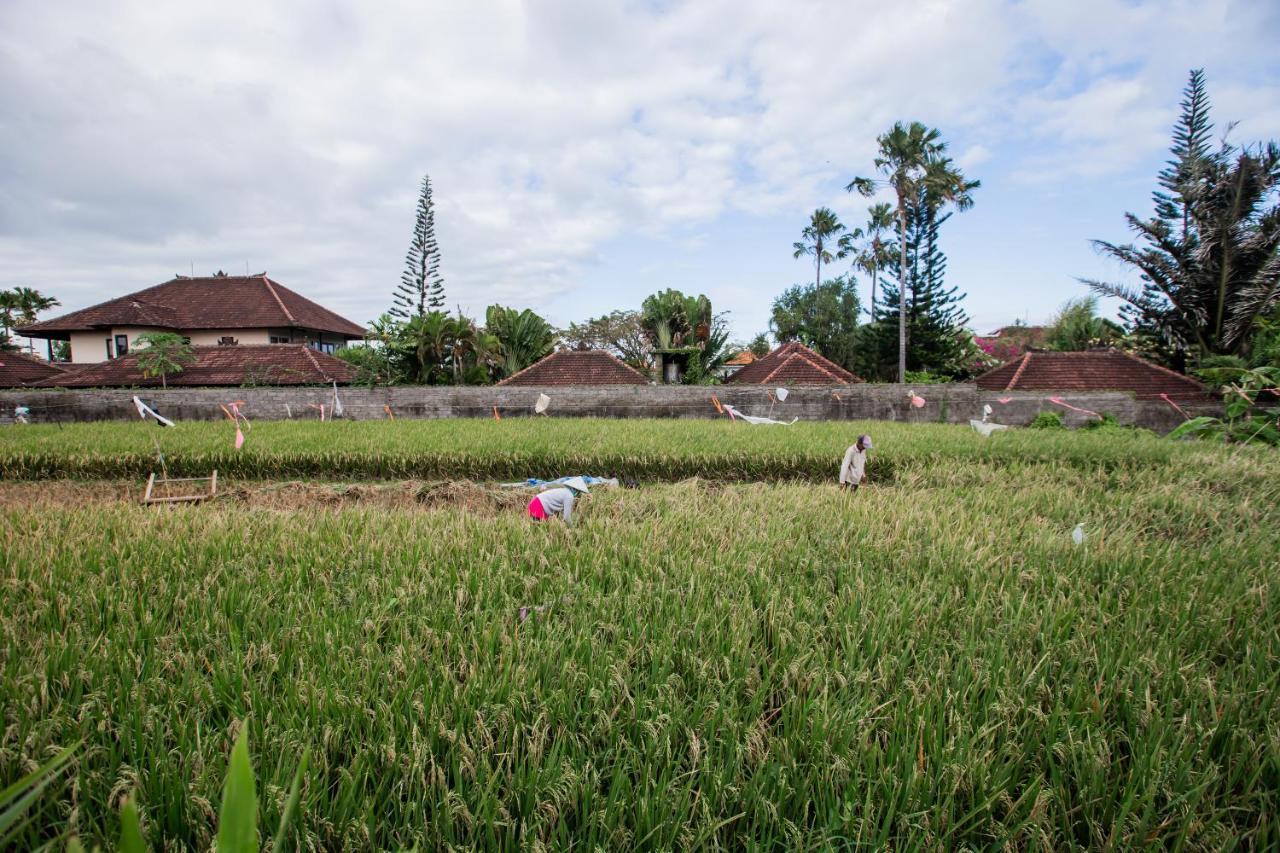 Villa Piece Of Peace Private 3Br With Large Pool And Garden Canggu  Exterior photo